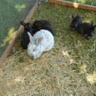 DSC05879.JPG