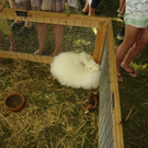 DSC05883.JPG