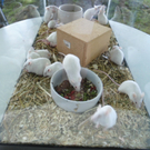 DSC05885.JPG