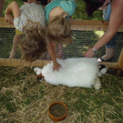 DSC05892.JPG