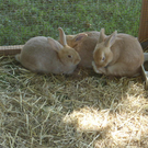 DSC05896.JPG
