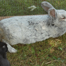 DSC05907.JPG