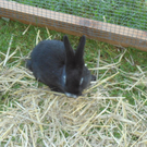 DSC05908.JPG