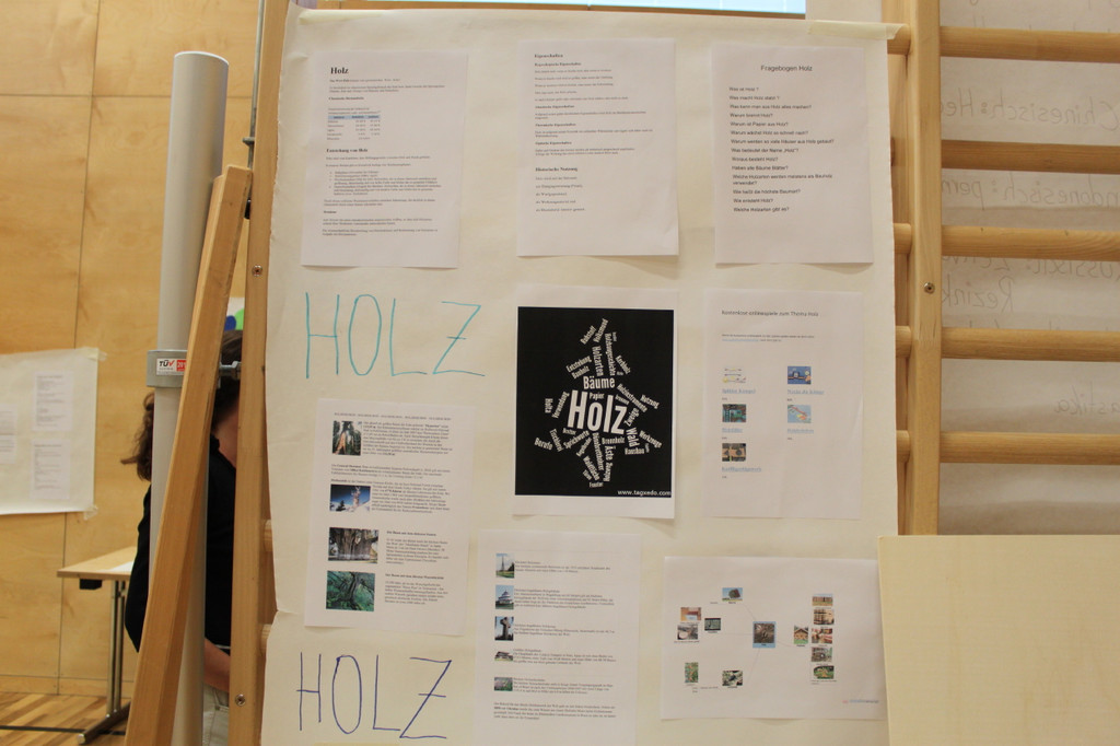 Projektpr__sentation VS Fraxern Juni_2011 _16_.jpg