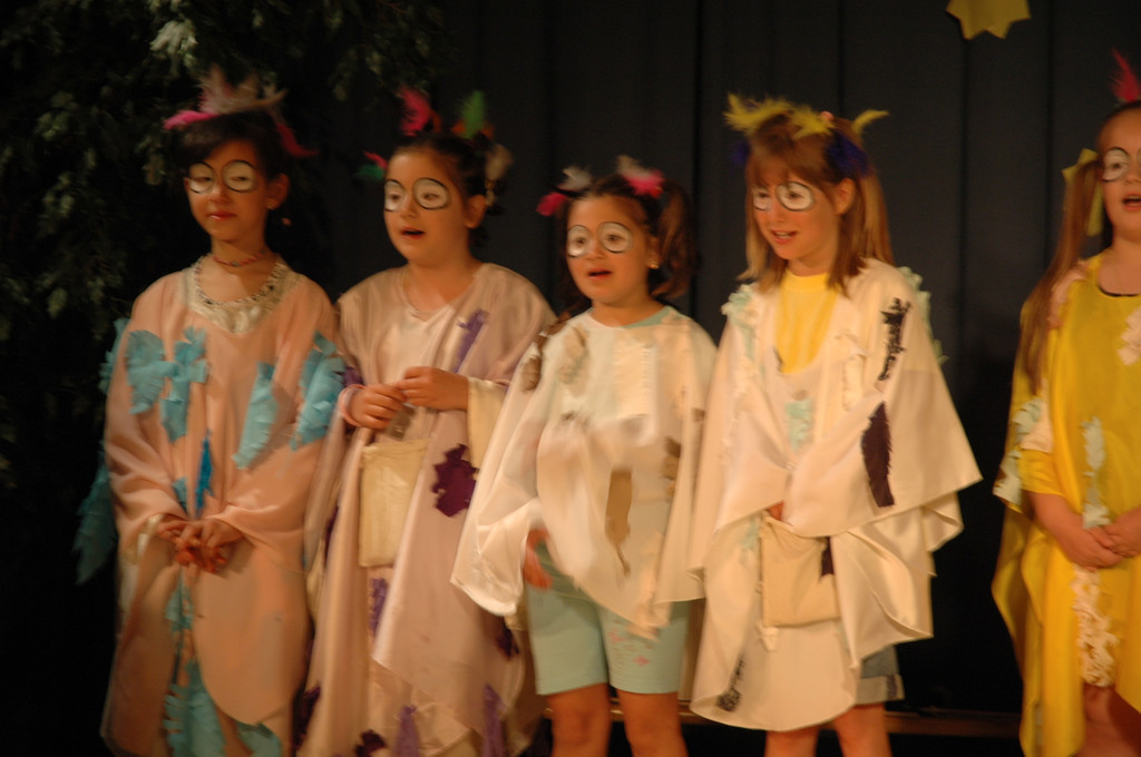 DSC_0163_JPG-1307389796