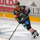 export__5_von_31_.jpg
