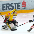 export__9_von_31_.jpg