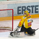 export__10_von_31_.jpg