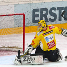 export__11_von_31_.jpg