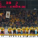 export__30_von_31_.jpg