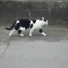 DSC01045.JPG