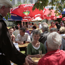 KLF 2011 002 Festbesucher.JPG