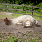 DSC_4441.jpg
