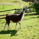 DSC_4444.jpg