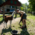 DSC_4466.jpg