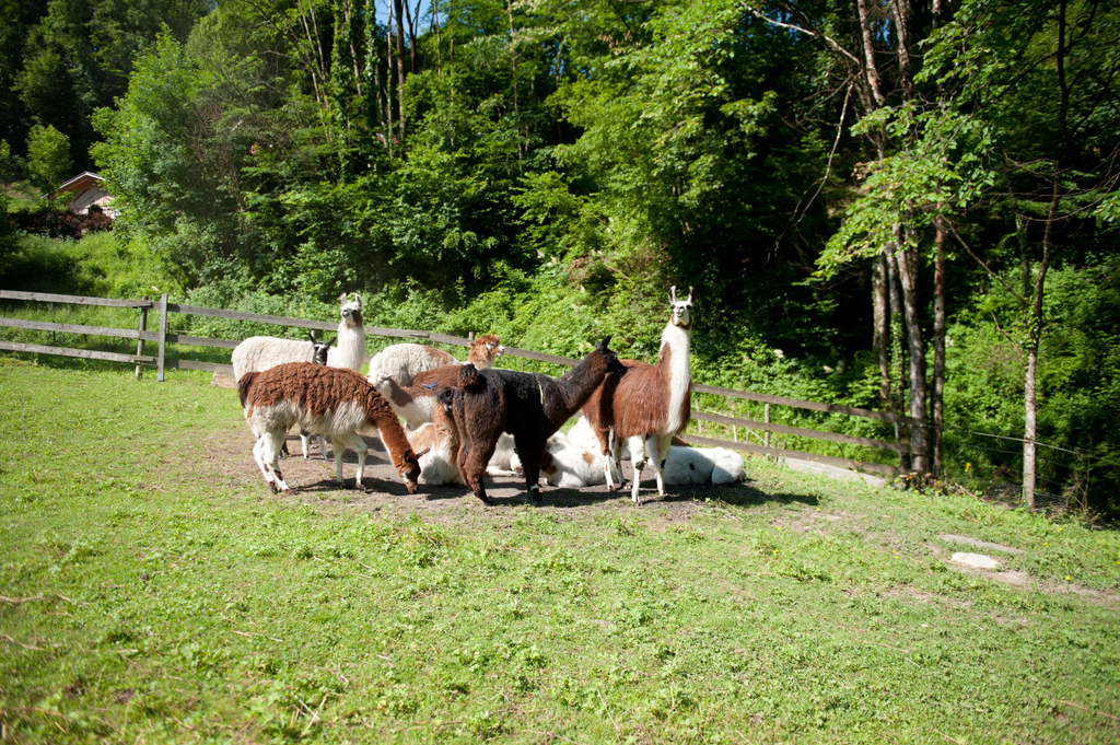 DSC_4423.jpg