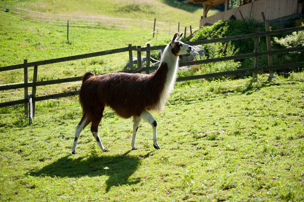 DSC_4444.jpg