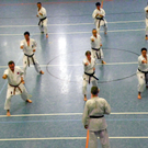 110_8664_JPG-1307478464