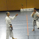 110_8674_JPG-1307478518