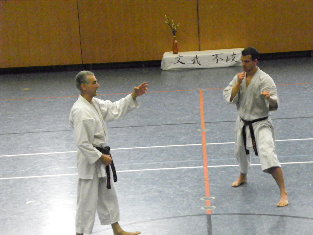 110_8674_JPG-1307478518