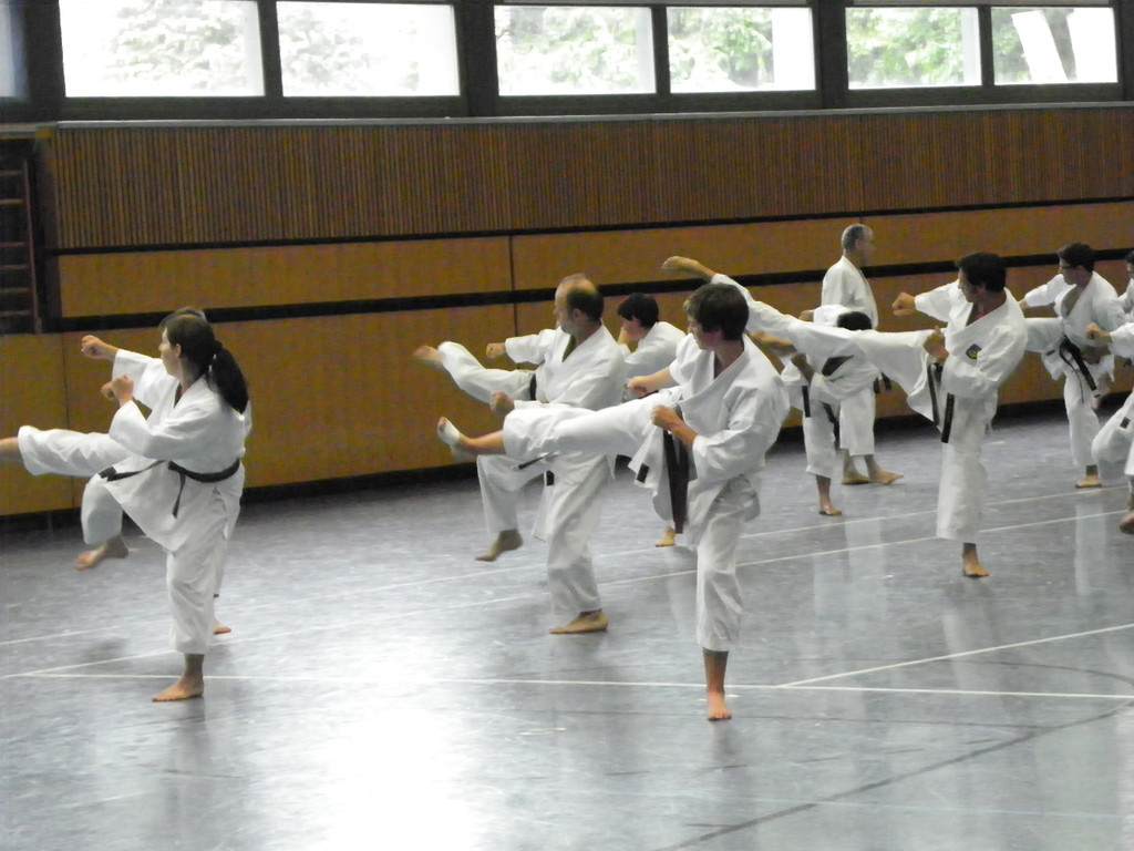 110_8656_JPG-1307478558