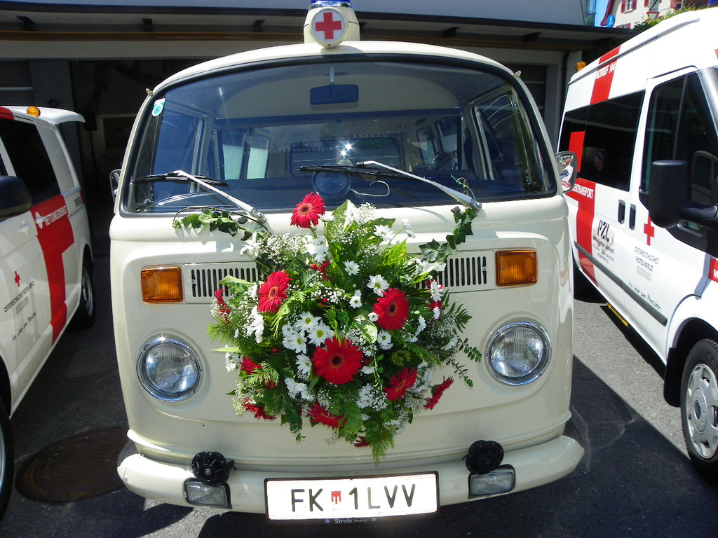 111_1589_JPG-1307486263