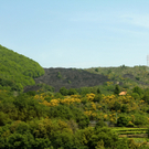 KOE_Seniorenreise Sizilien 60_jpg-1307565300