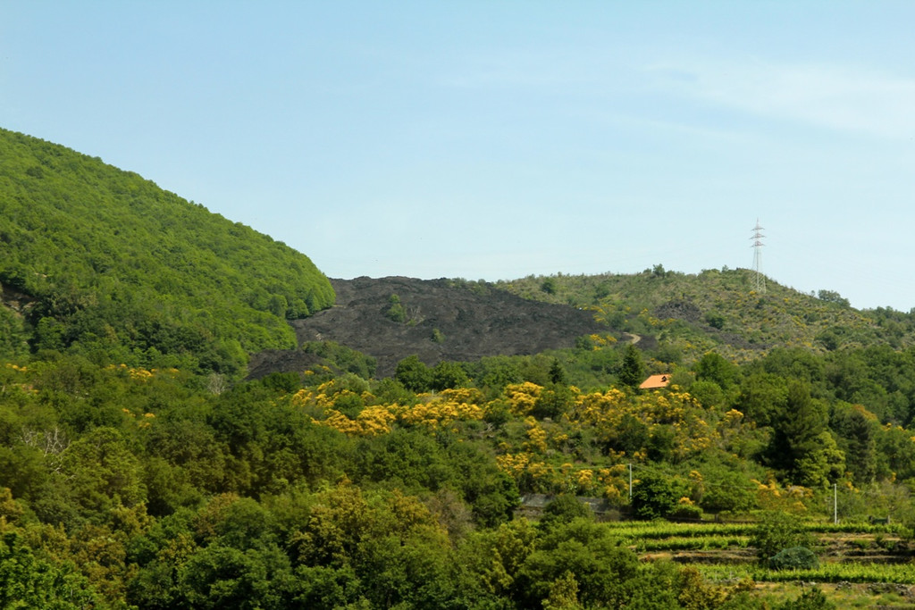KOE_Seniorenreise Sizilien 60_jpg-1307565300