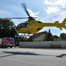 bfk_gdorf04.jpg