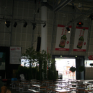 IMG_1299.JPG