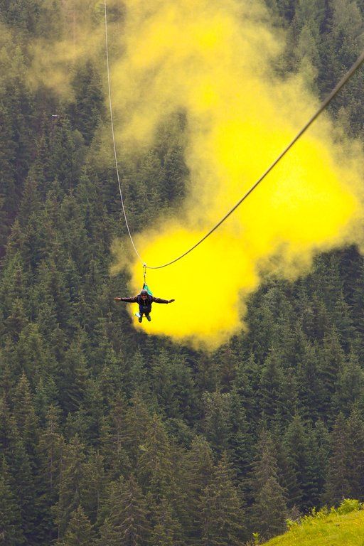 FlyingFox09061102.jpg