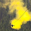 FlyingFox09061102.jpg