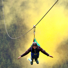 FlyingFox09061103.jpg