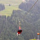 FlyingFox09061105.jpg