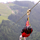 FlyingFox09061106.jpg
