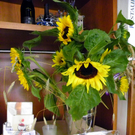 104_4673_jpg-1307657242