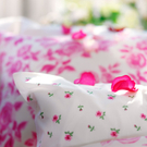 1105_IKEA_PE282583.jpg