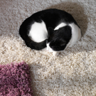 1105_IKEA_PE282950.jpg