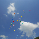 _cid_DSCN1161_jpg-1307692132