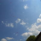 _cid_DSCN1162_jpg-1307692134