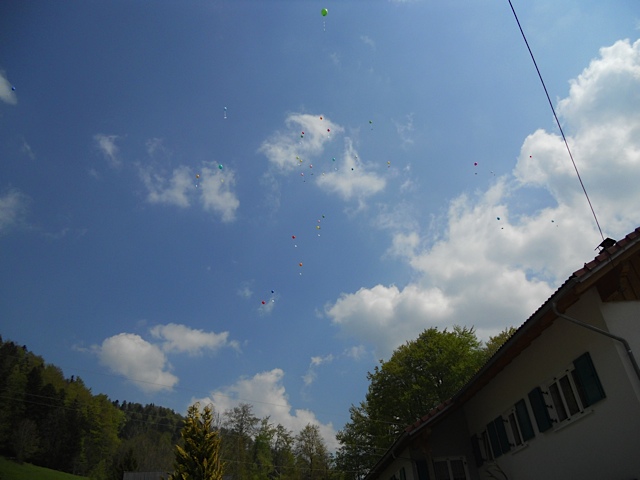 _cid_DSCN1163_jpg-1307692137