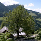 haus_headline_jpg-1307696906