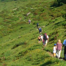wandern_headline_jpg-1307696915