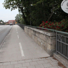 normal_10062011hundgebissenfaaktivnews_50.jpg