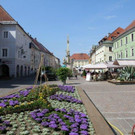 IMG_5430_jpg-1307706557