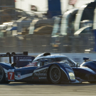DAB0583-20110320.jpg