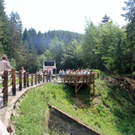 IMG_5202_jpg-1307711100