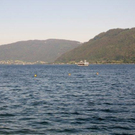 IMG_5250_jpg-1307711106