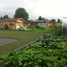 schreber1b_jpg-1307723746