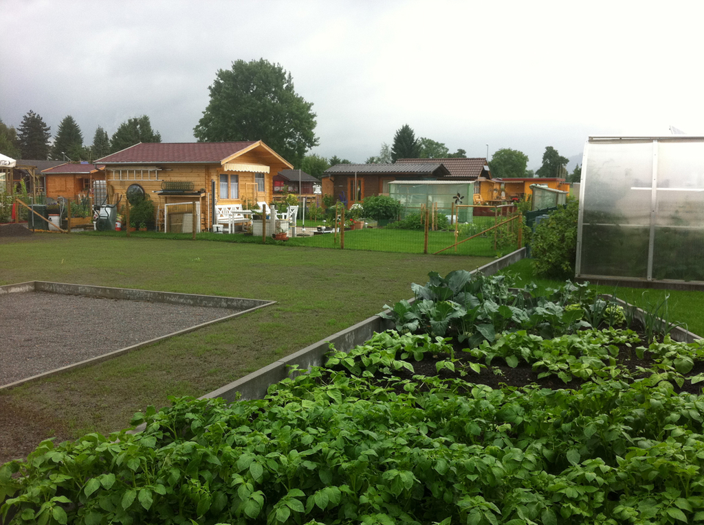 schreber1b_jpg-1307723746